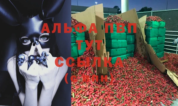 стафф Алексеевка